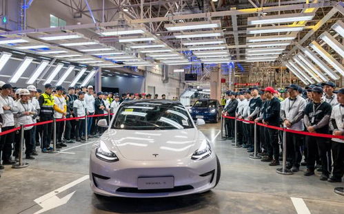 首批国产特斯拉Model 3在上海交付,车主现场求婚